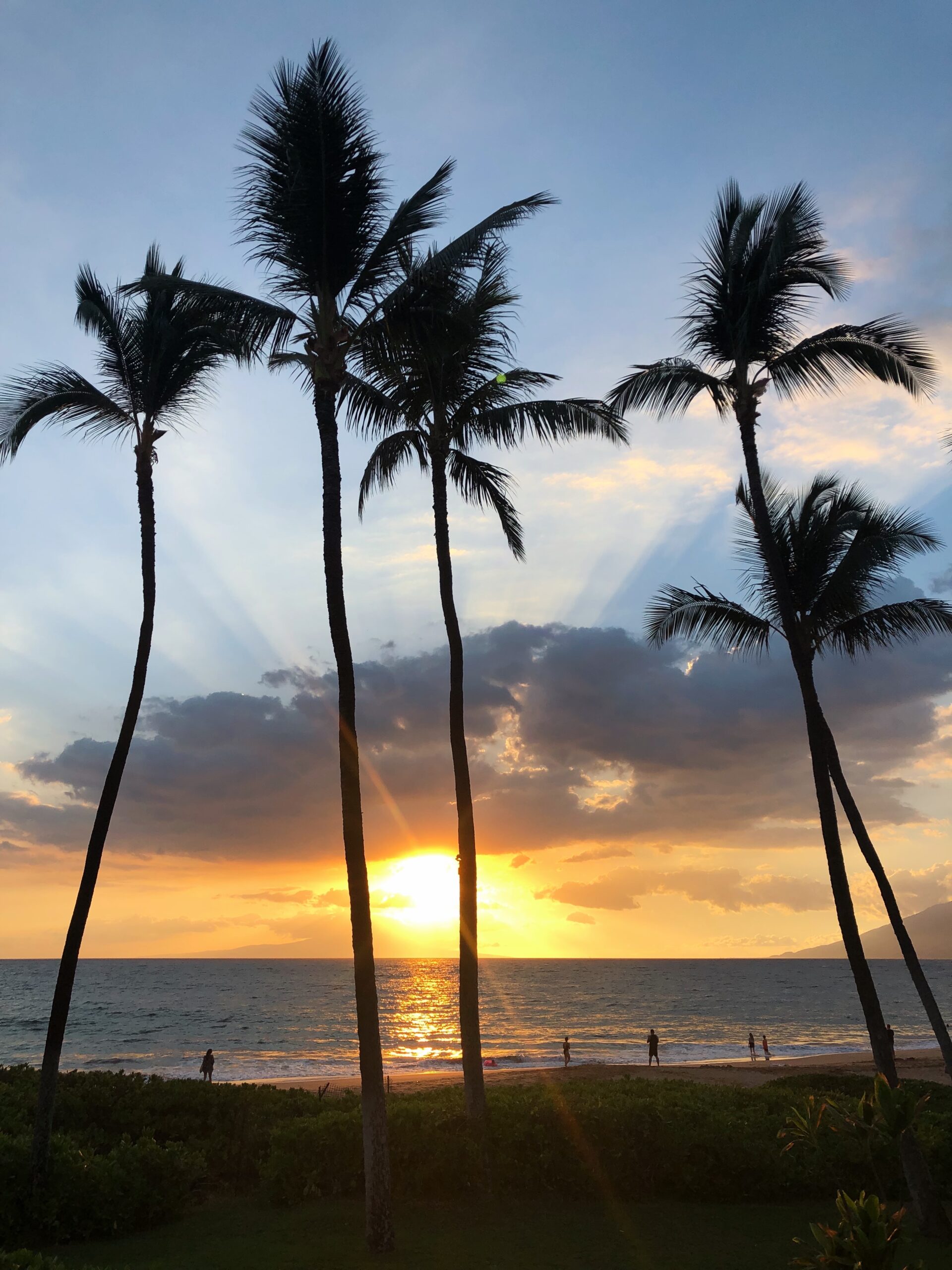 things to do in maui hawaii