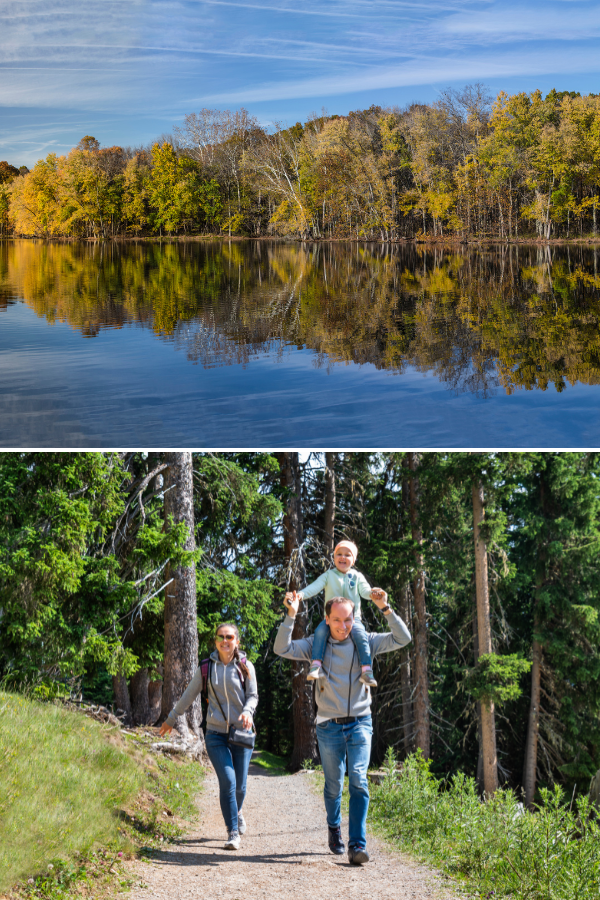 attractions in tennessee for families